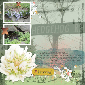 Sahin June Challenge 2021 Hedge Hog Road Explore Take 2