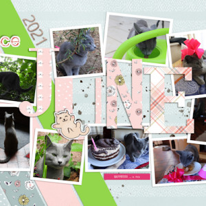 2106 Jun Cat Fun