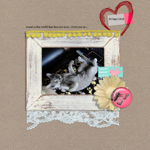 200930_F Sweet