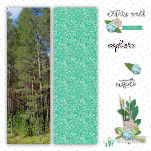 Nature Walk