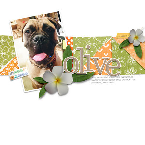 2018_06-07 Olive