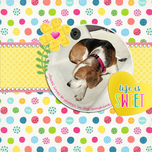 June Inspiration - Life Is Sweet