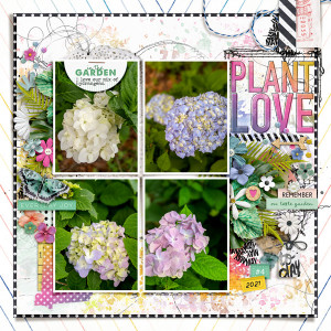 Plant Love