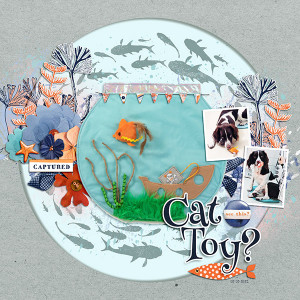 Cat Toy?