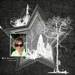 2021-Scraplift-New-Shades