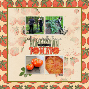 Our First 2021 Tomato!