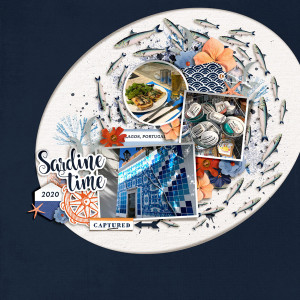 Sardine Time