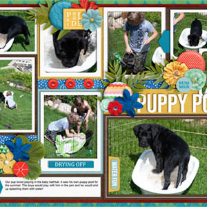 Puppy Pool (double page)