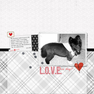 Bear-Bear Beloved