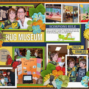 Bug Museum (double page)