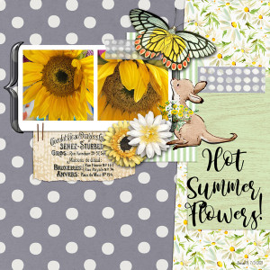 MIS_hotsummerflowers