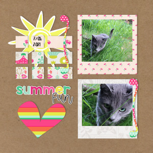 210607_cat Summer