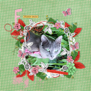 210620_cat Bloom