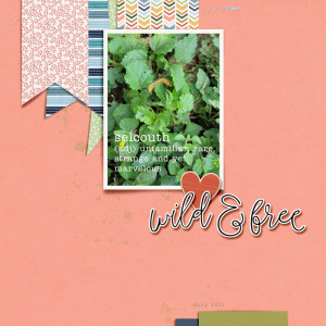 Wild and Free