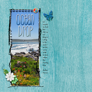 OceanDrop