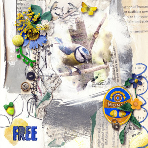 Free