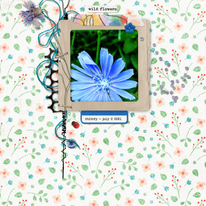 Pink-Reptile-Designs_2021-07_July_SOSN_0707_Wildflower_web