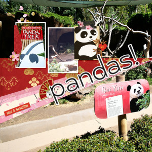 Pandas 2017