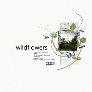 wildflowers