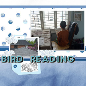 Bird Reading