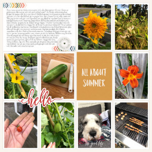 Week 27 2021 b