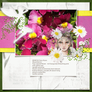 Fdd_nemesia