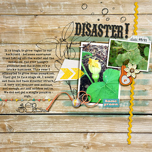 Disaster