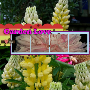 SwL_MBC_7_21Template July Challenge Garden Love