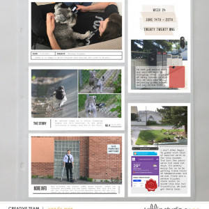PL2021 - Week 24 | Sahlin Studio