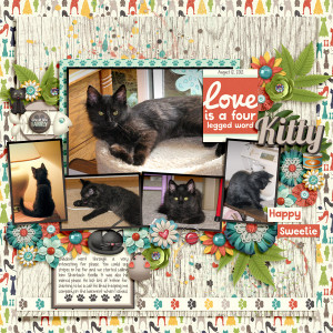 20120812 Kitty