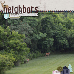 Neighbors