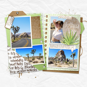 Joshua Tree - Page 1