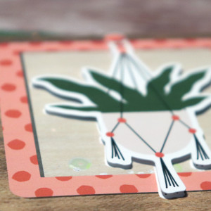 Everyday card details