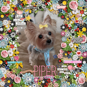 Princess Piper