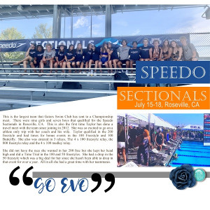 SECTIONALS