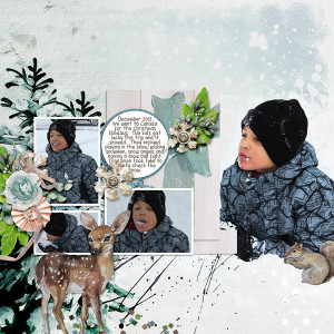Snow Fun