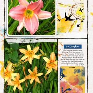 Lynn-Grieveson_2021-07_July_NEW_0723_SunshineCards_MessyPocketsNoted4_web