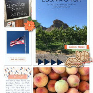 Peach Season, YUM!