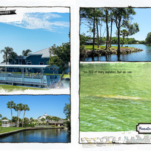 Kings Bay Manatee Cruise