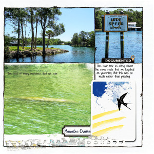 Kings Bay Manatee Cruise_right