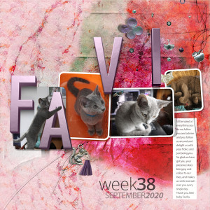 Nbk_Favi Week38