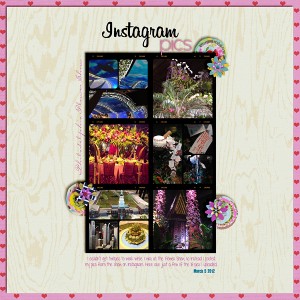 Instagram Pics: Flower Show