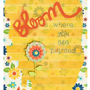 Bloom!