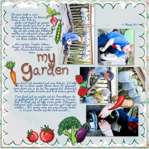 my garden