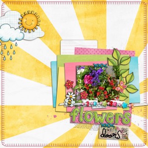 Flowers Outdoors