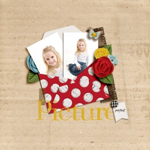 Picture Perfect