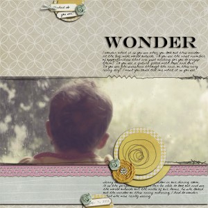 Wonder