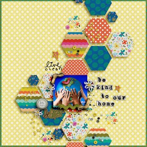 ~Be kind to our home~
