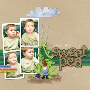 sweet pea