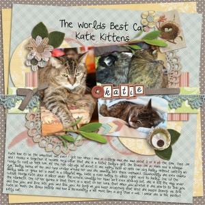Katie Kittens